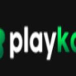 Playkaro profile picture